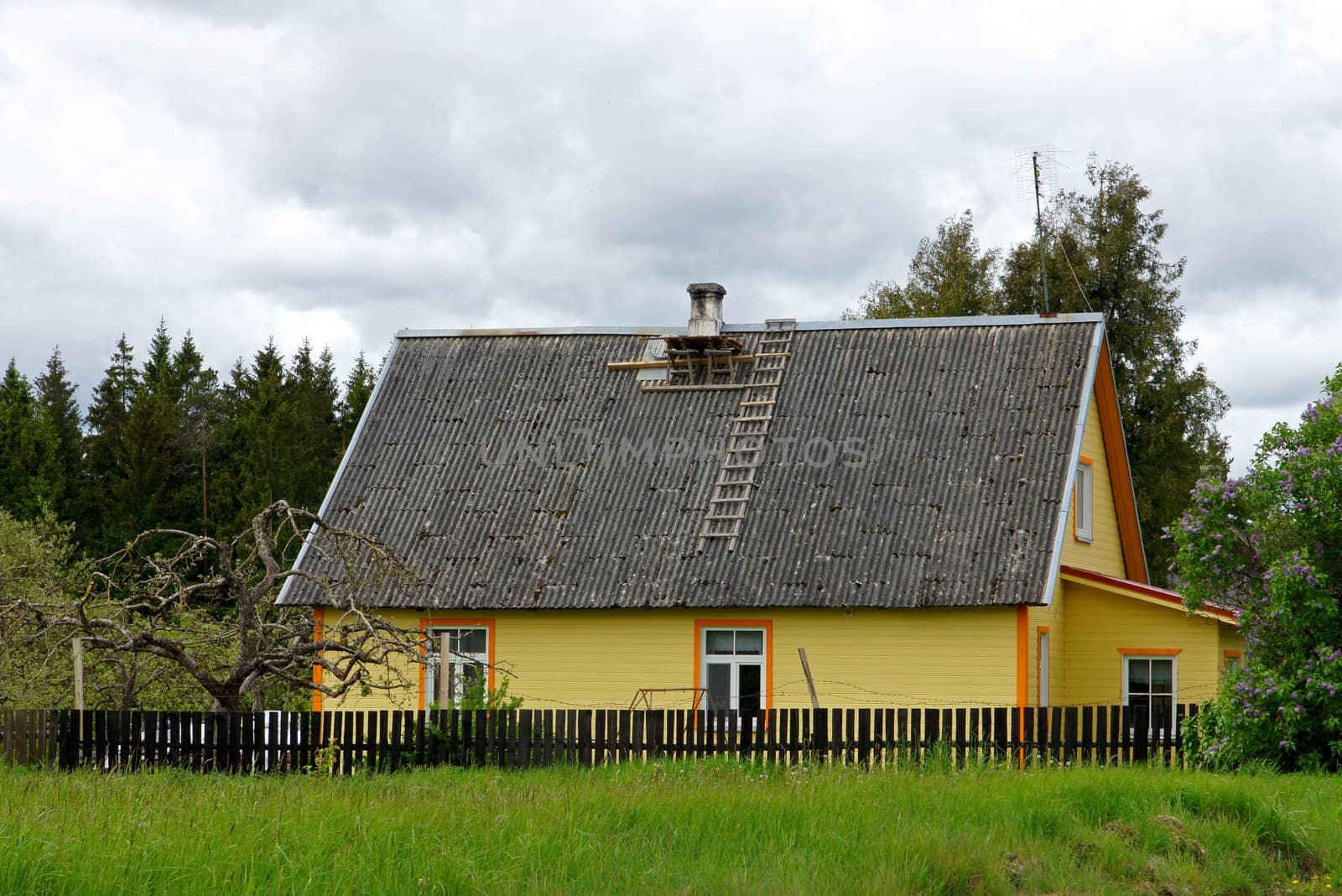 The wooden house on a background of the  sky