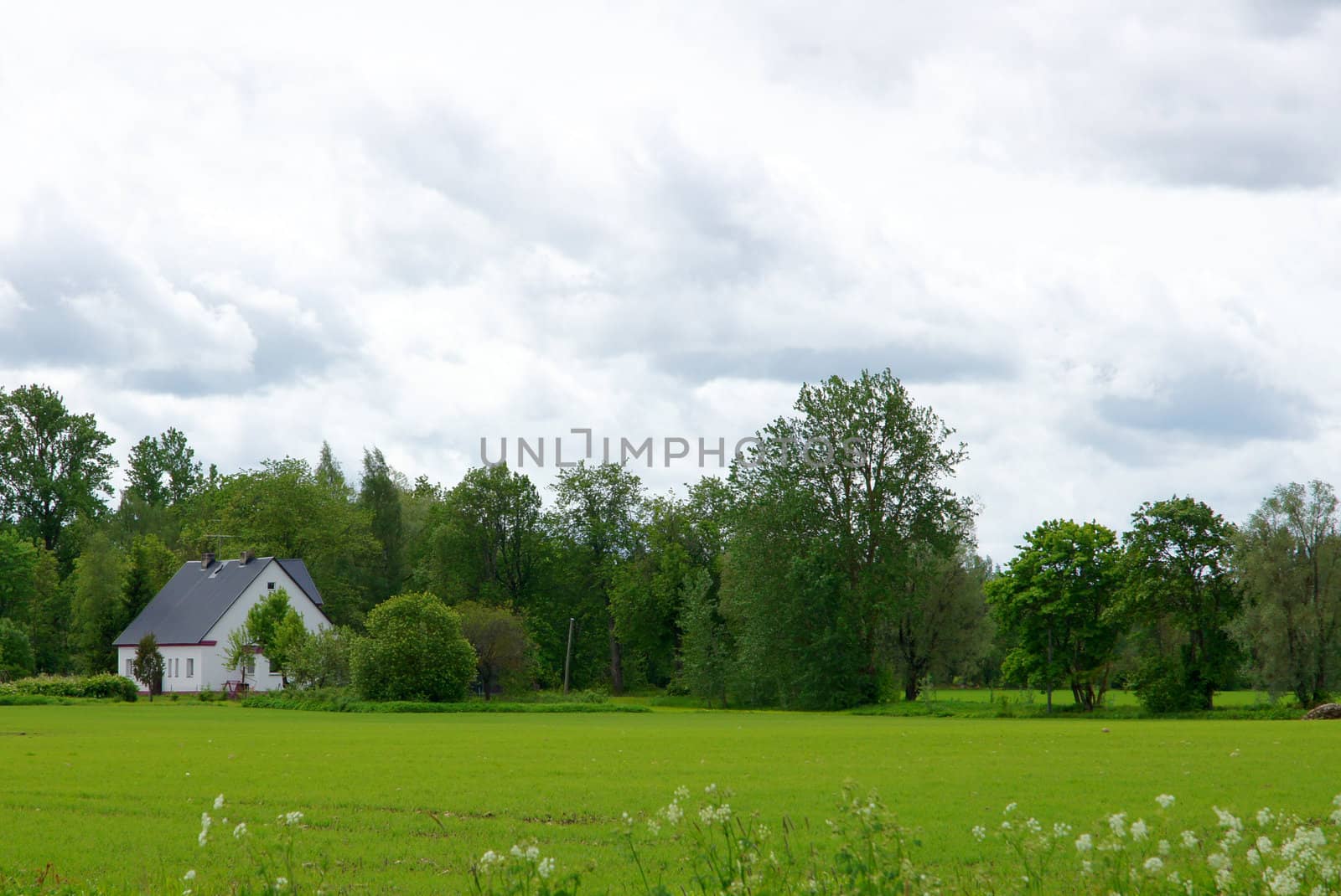 The house and field on a background of the  sky