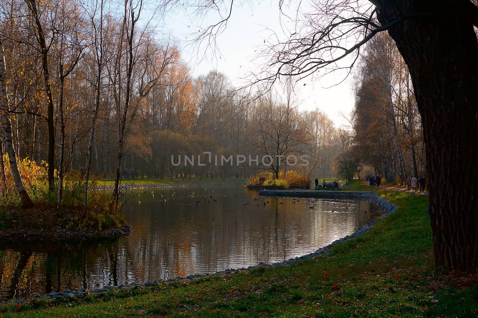 Putyaevskie ponds by Stavrida