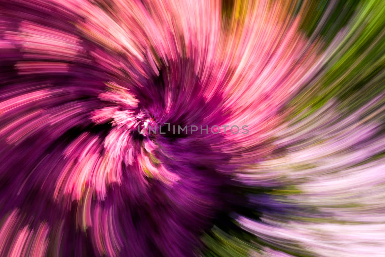 Colorful Abstract Background Flower Garden Spiral by scheriton
