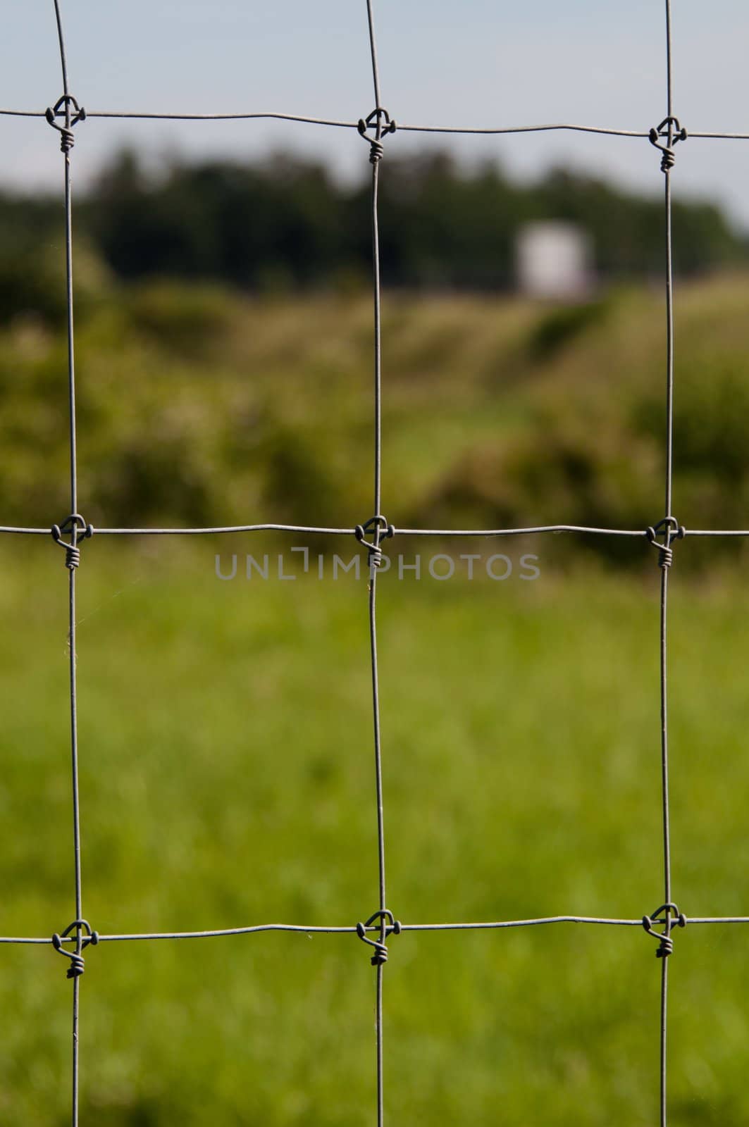 Wire fence with green grass on background
