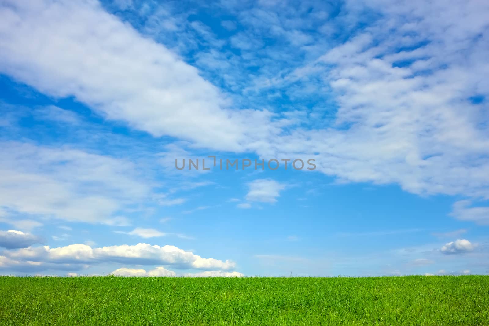 Beautiful cloudscape over wheat field by qiiip