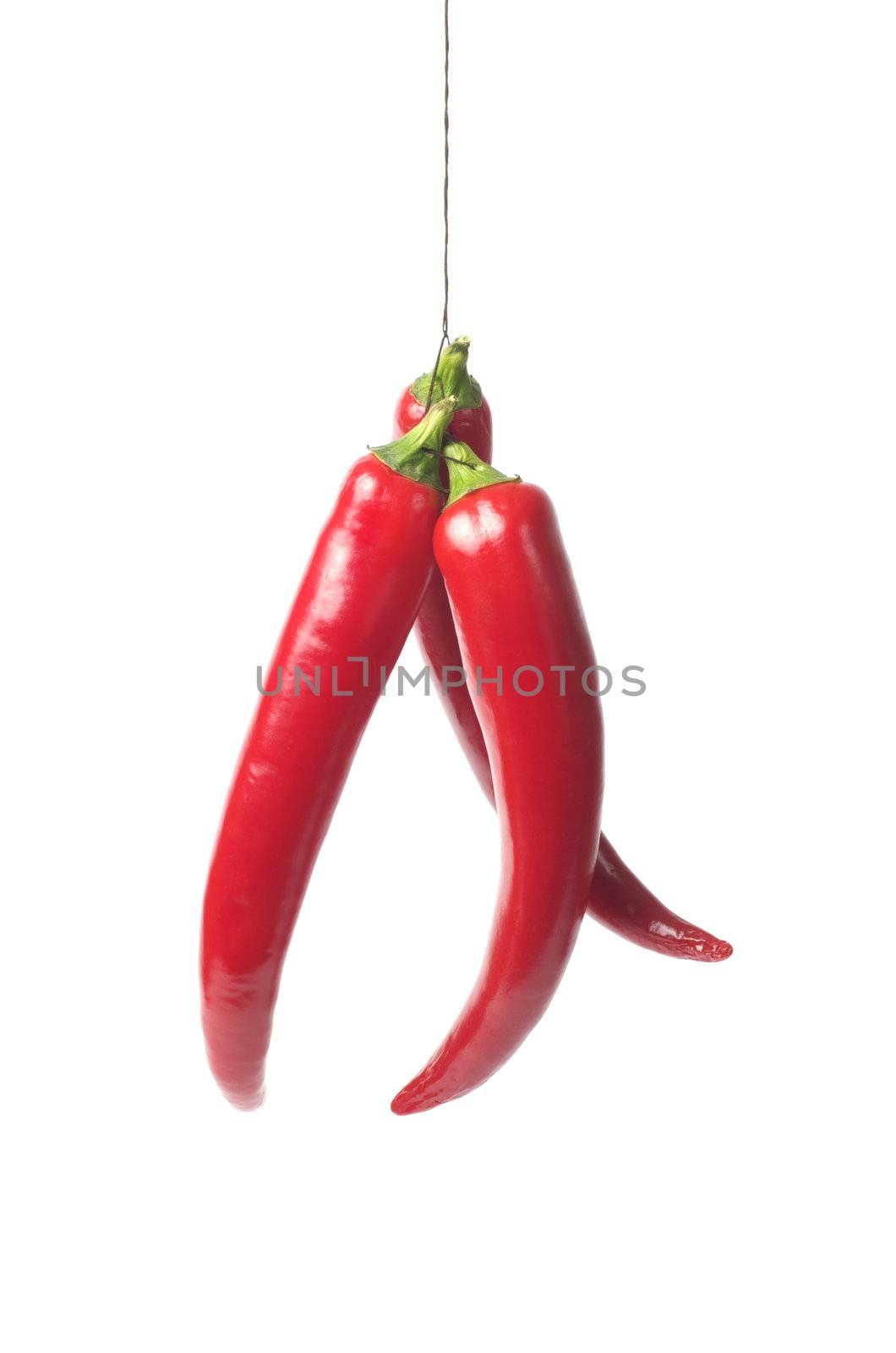 Red hot chili pepper isolated on white