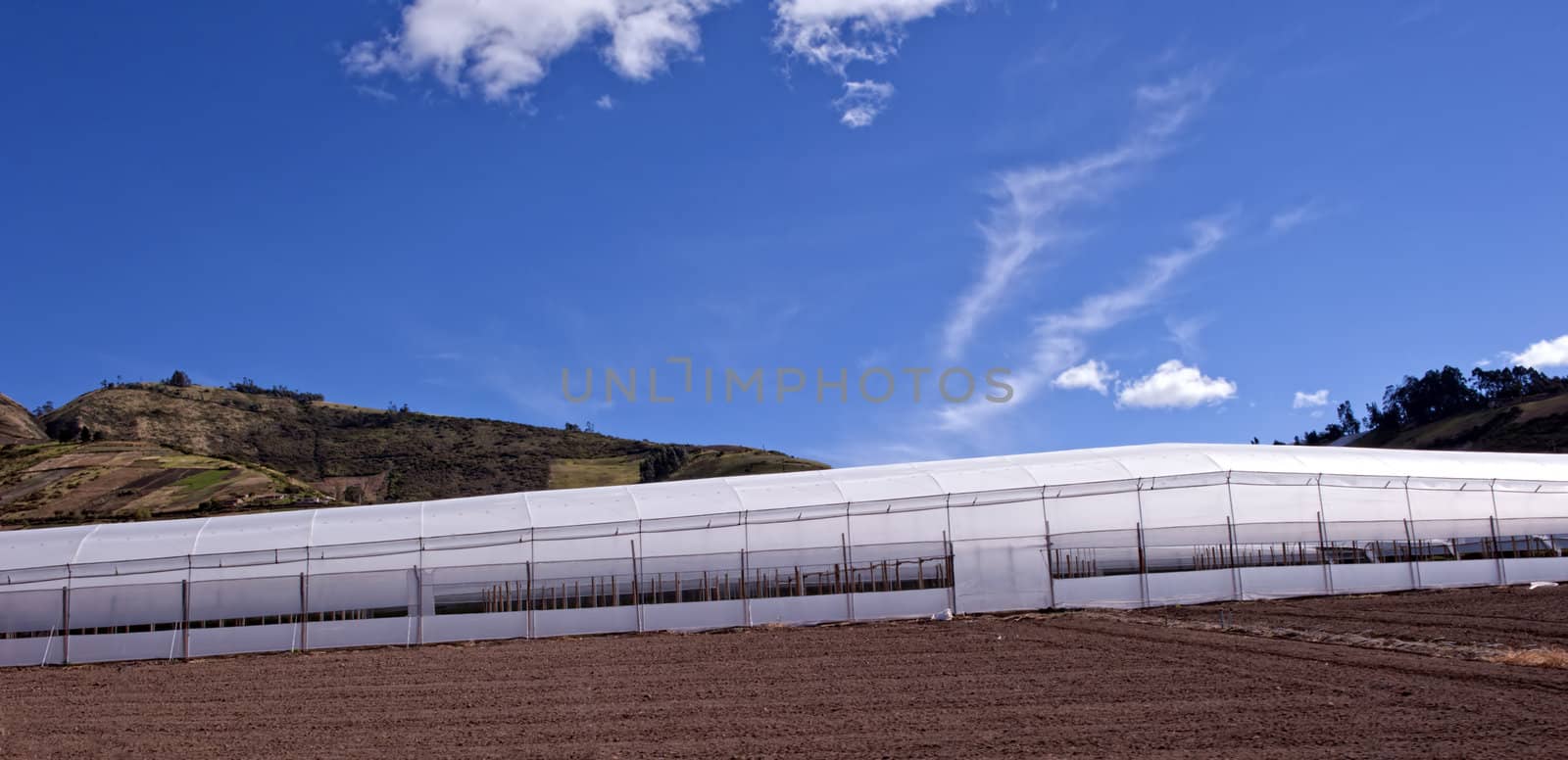 Greenhouses for agriculture production in the Andes in Ecuador