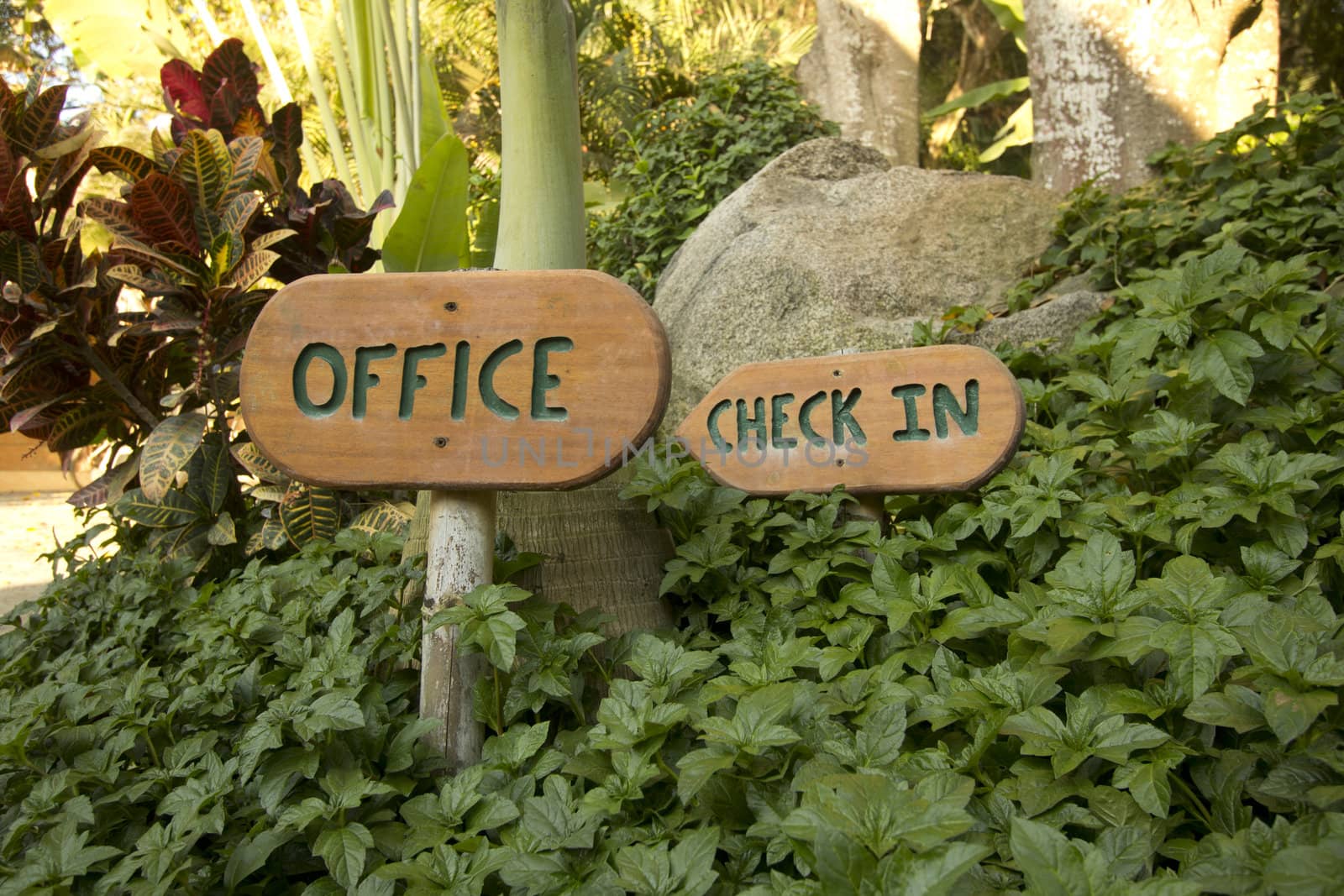 office check in sign in the middle of the forest.