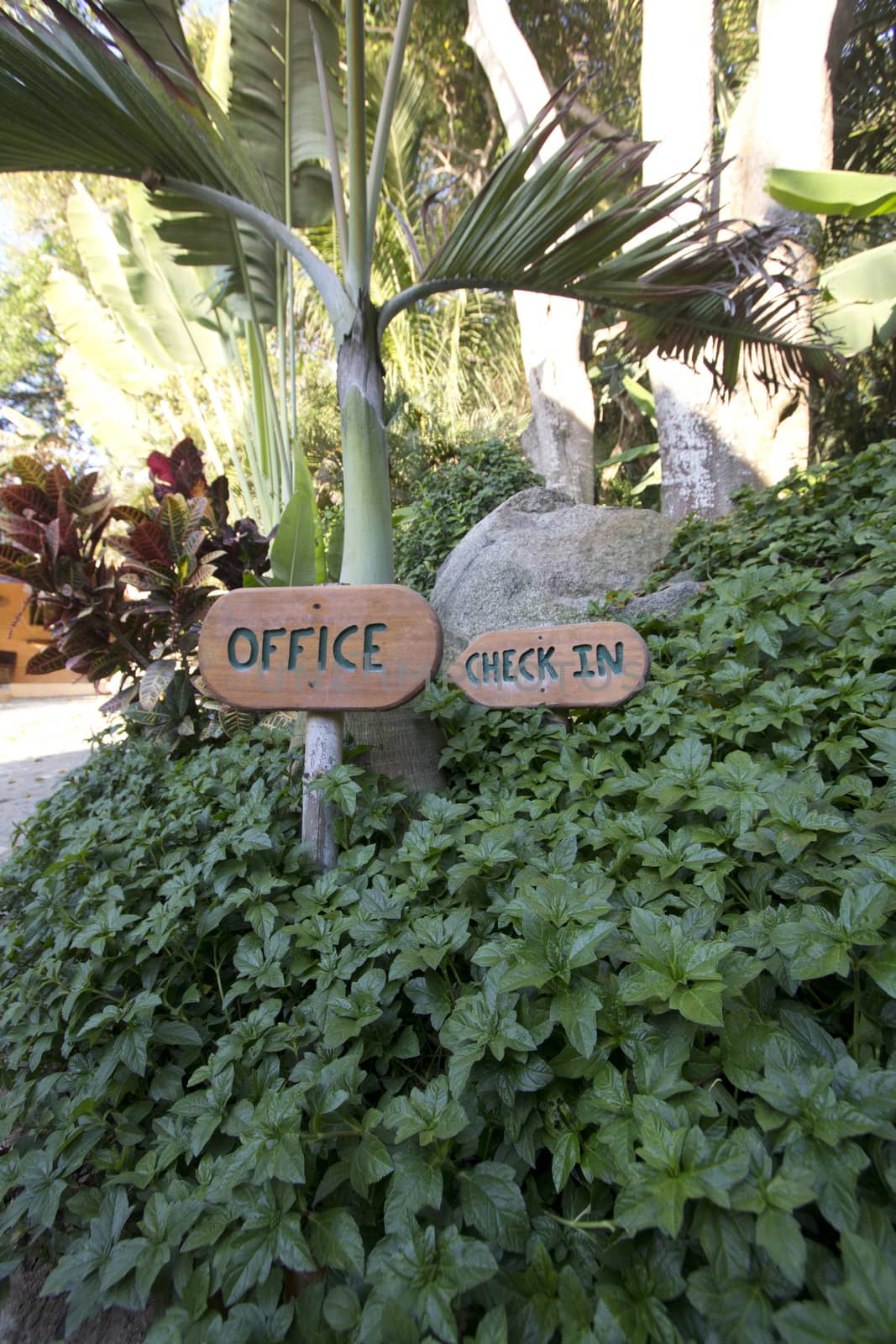 office check in sign in the middle of the forest.