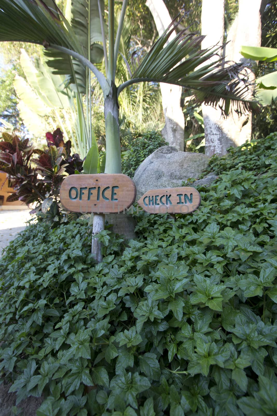 office check in sign in the middle of the forest.