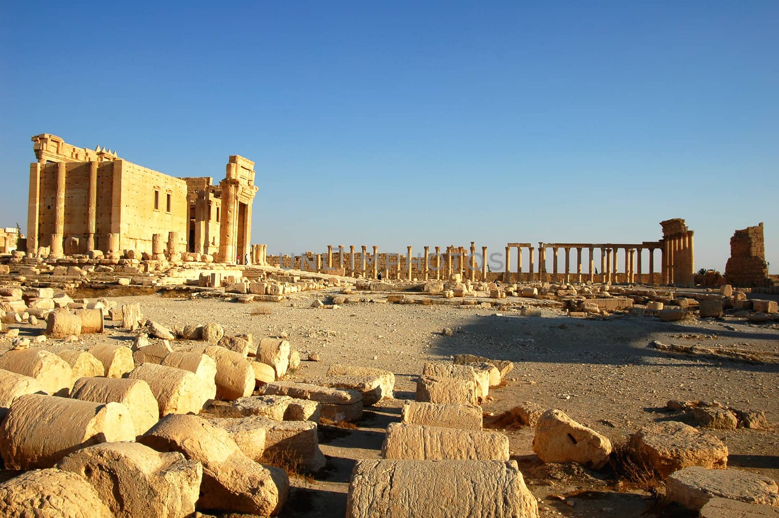Relics Palmyra in Syria against blue sky. Ancient Roman time town in Palmyra (Tadmor), Syria.