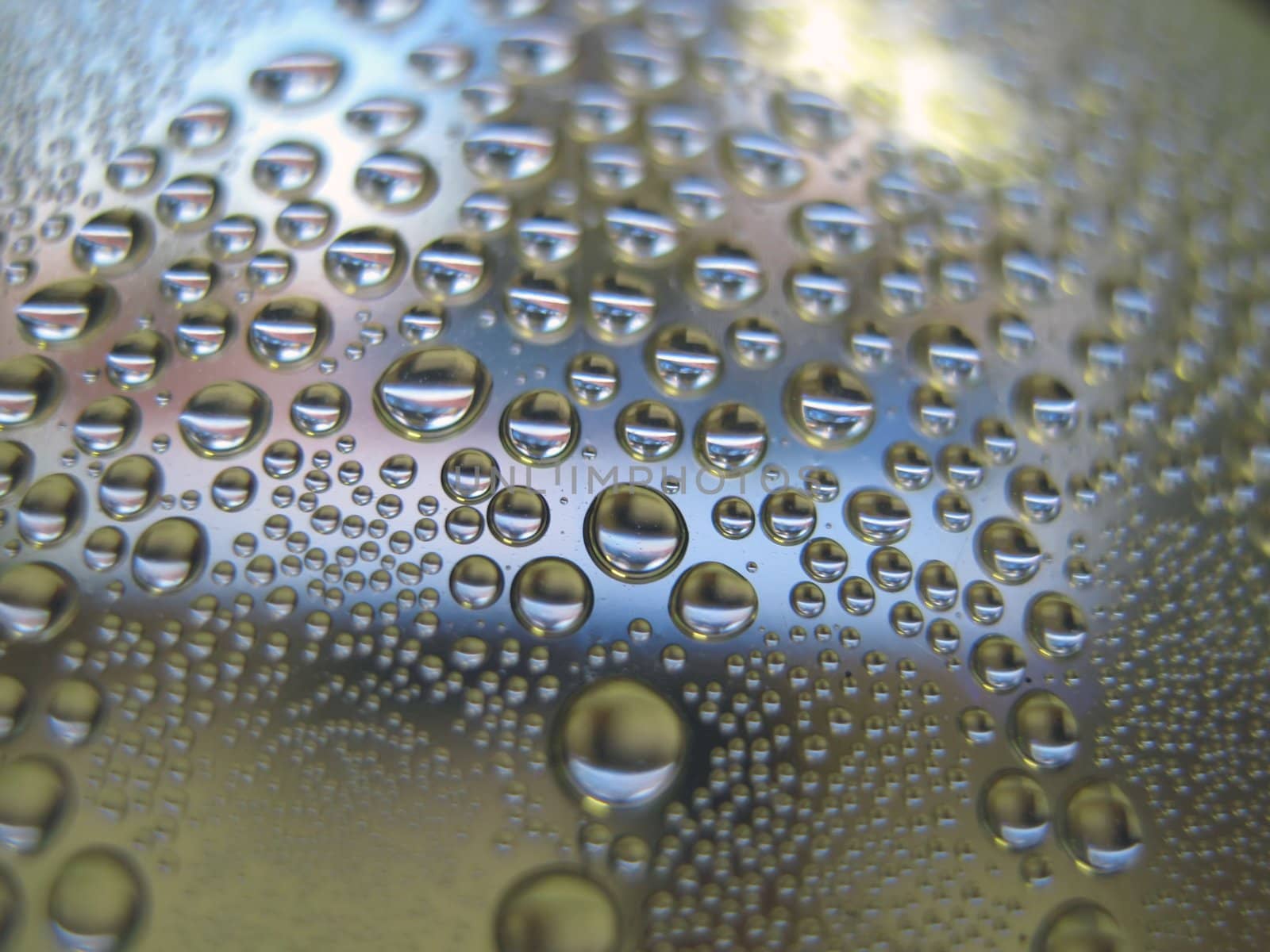 Water drops on the curve transparent surface. Shallow DOF.    by sergpet