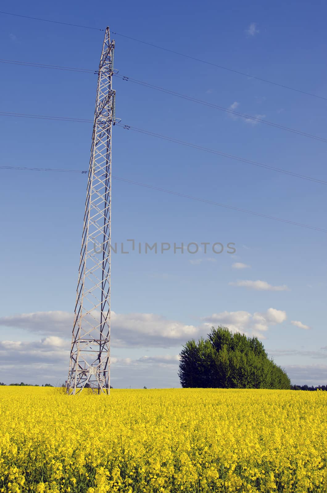 High voltage electric pole and wire on background of agricultural rape fields and blue cloudy sky. Power and energy industry.