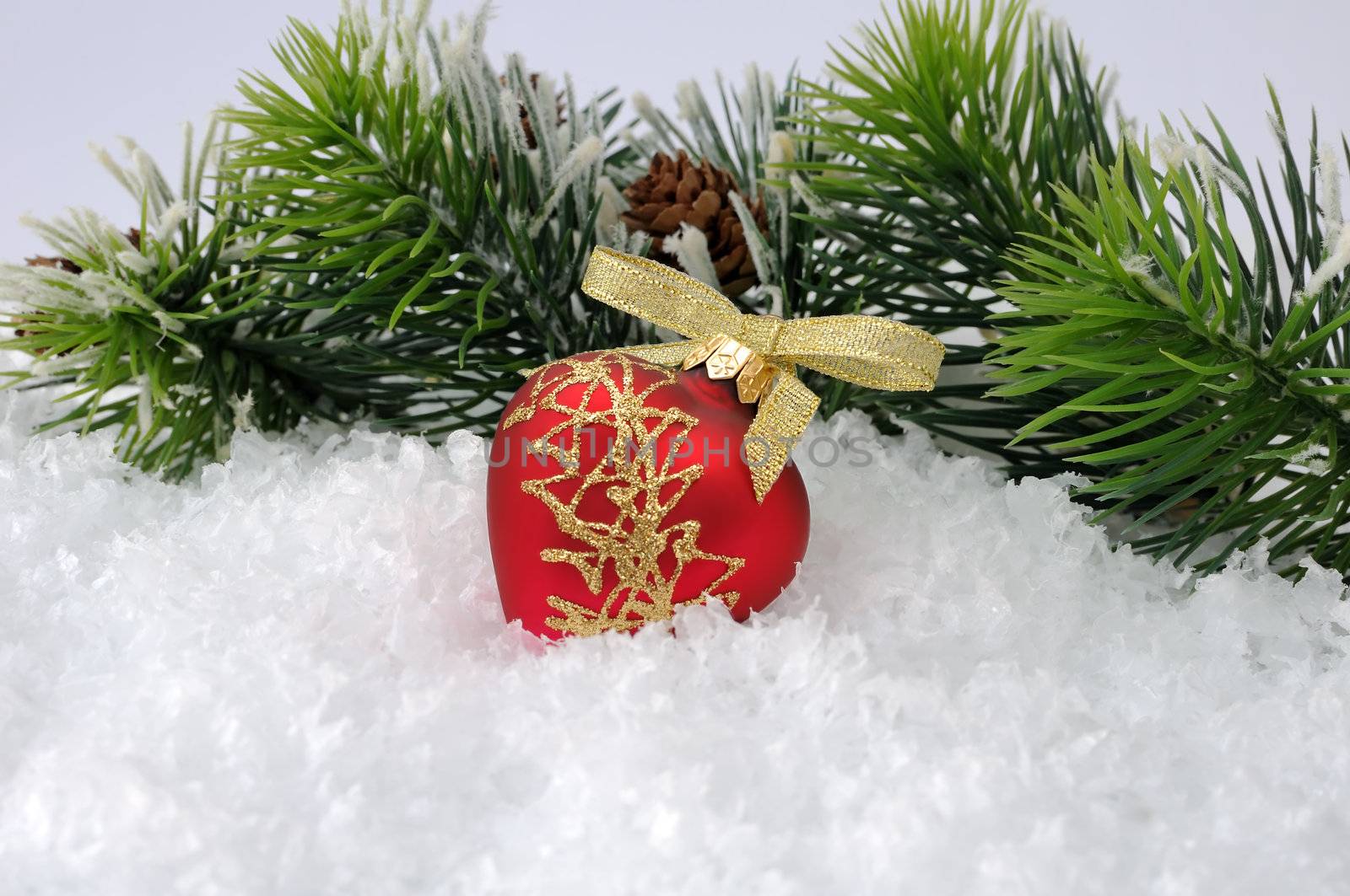 New toy in the snow against the backdrop of pine branches by Apolonia