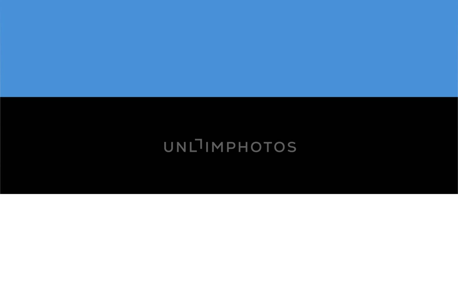  flag of Estonia by paolo77