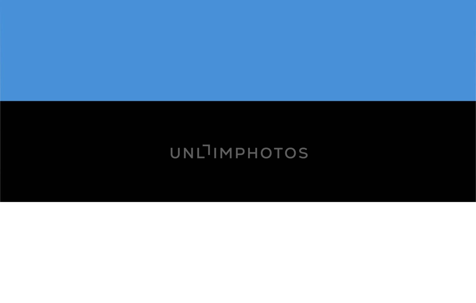 Estonian flag and language icon - isolated vector illustration