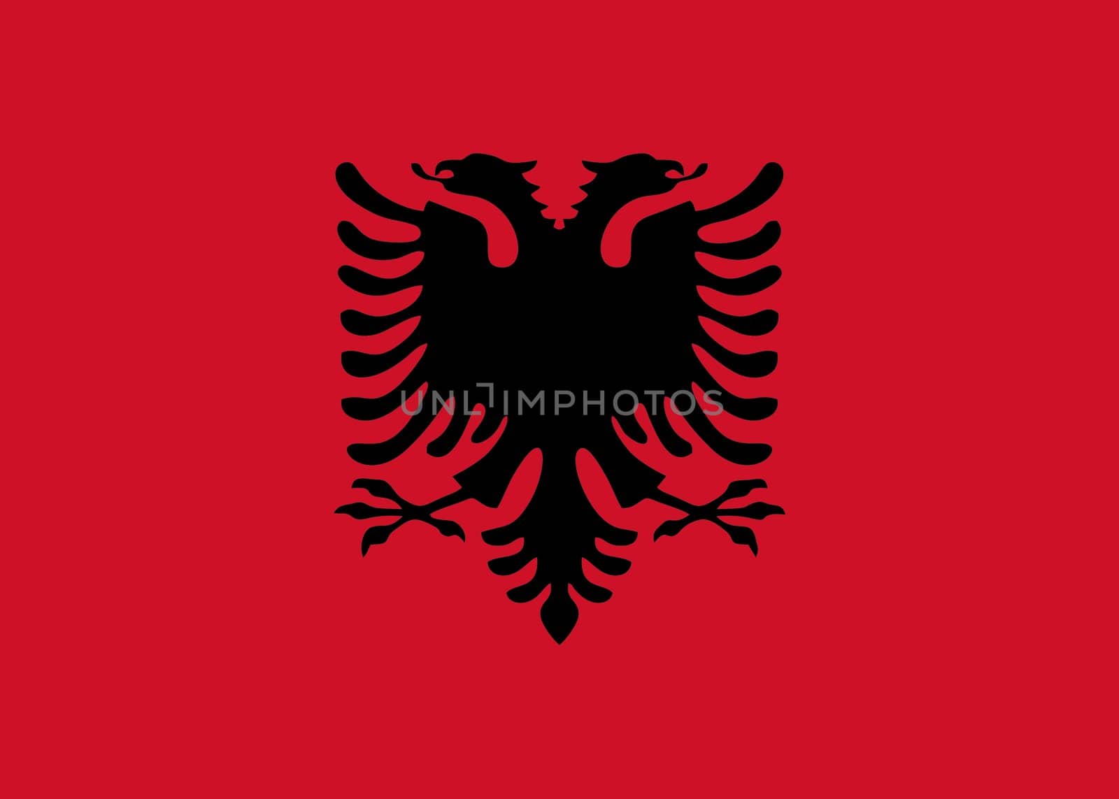 Albanian flag and language icon - isolated vector illustration