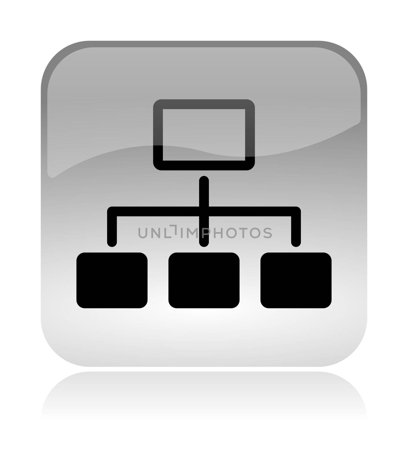 Network scheme white, transparent and glossy web interface icon with reflection
