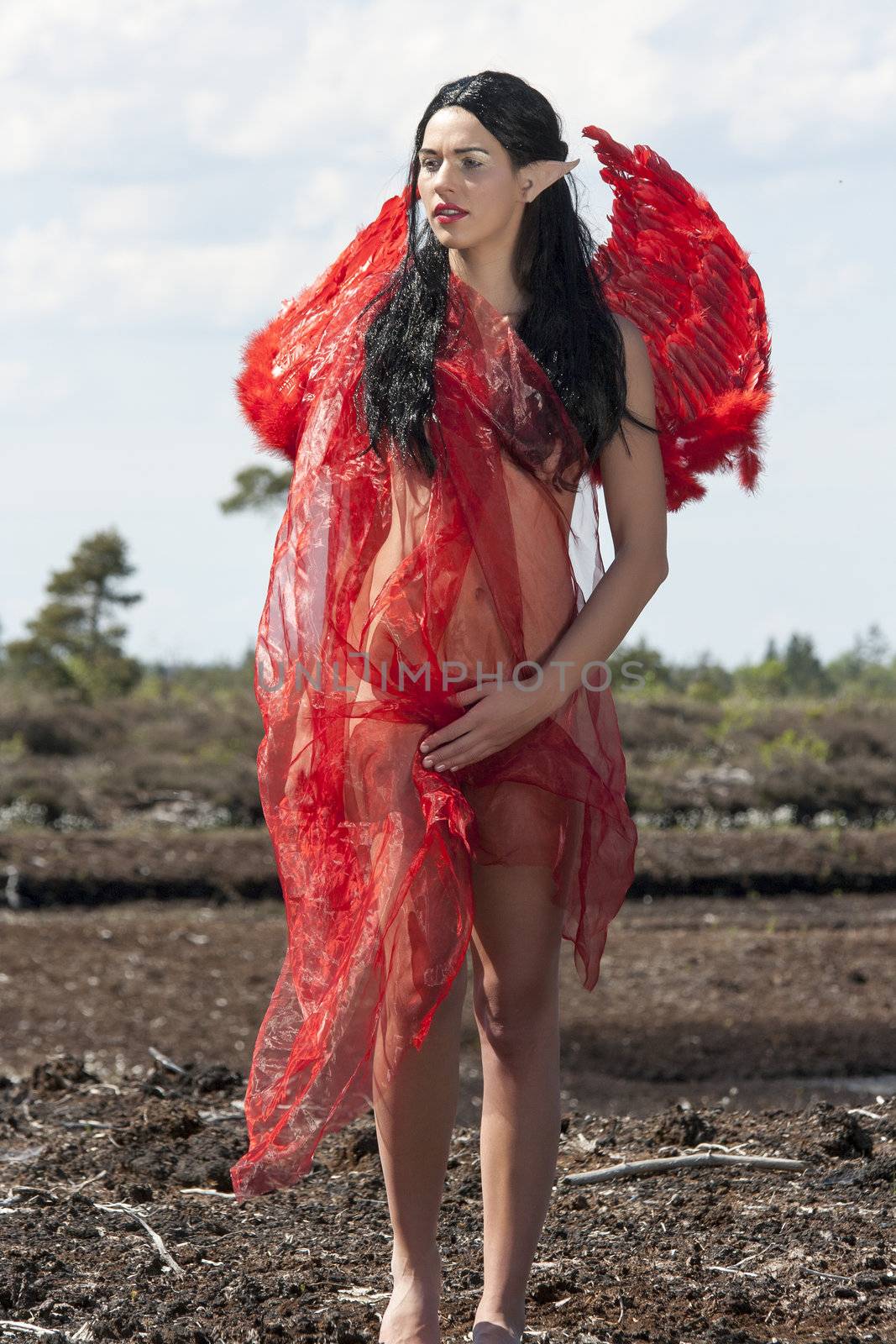 Elf with red wings and stands in the mud cloth