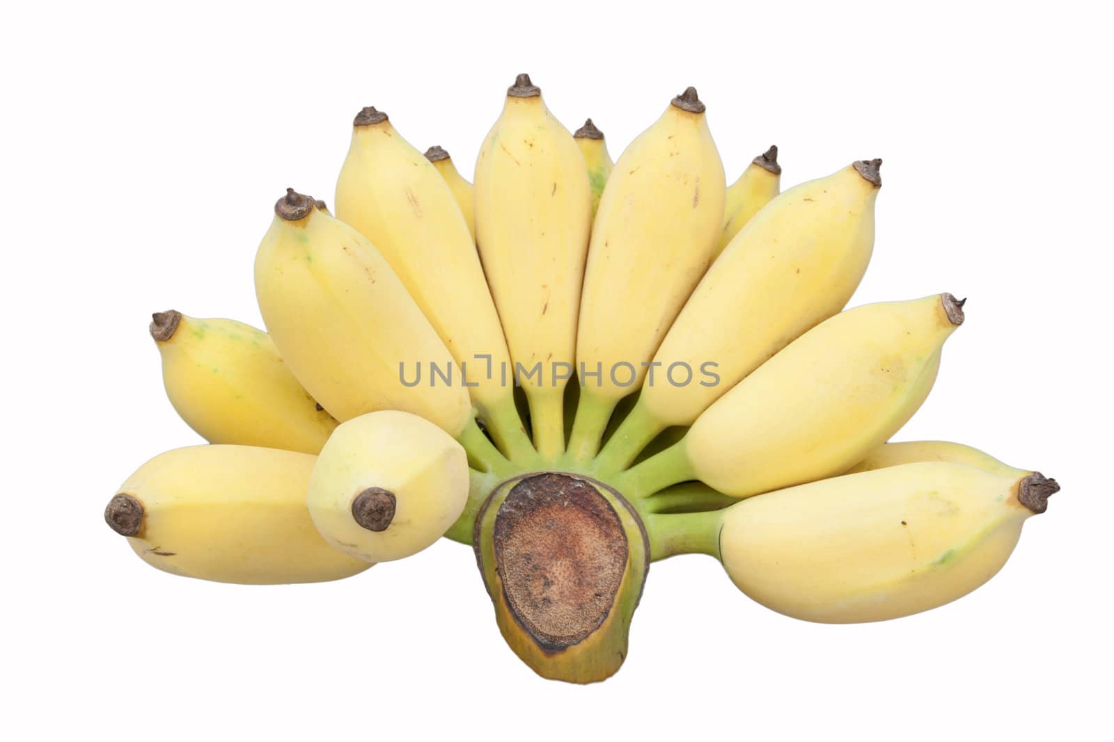 bananas isolated on a white background by 9dap