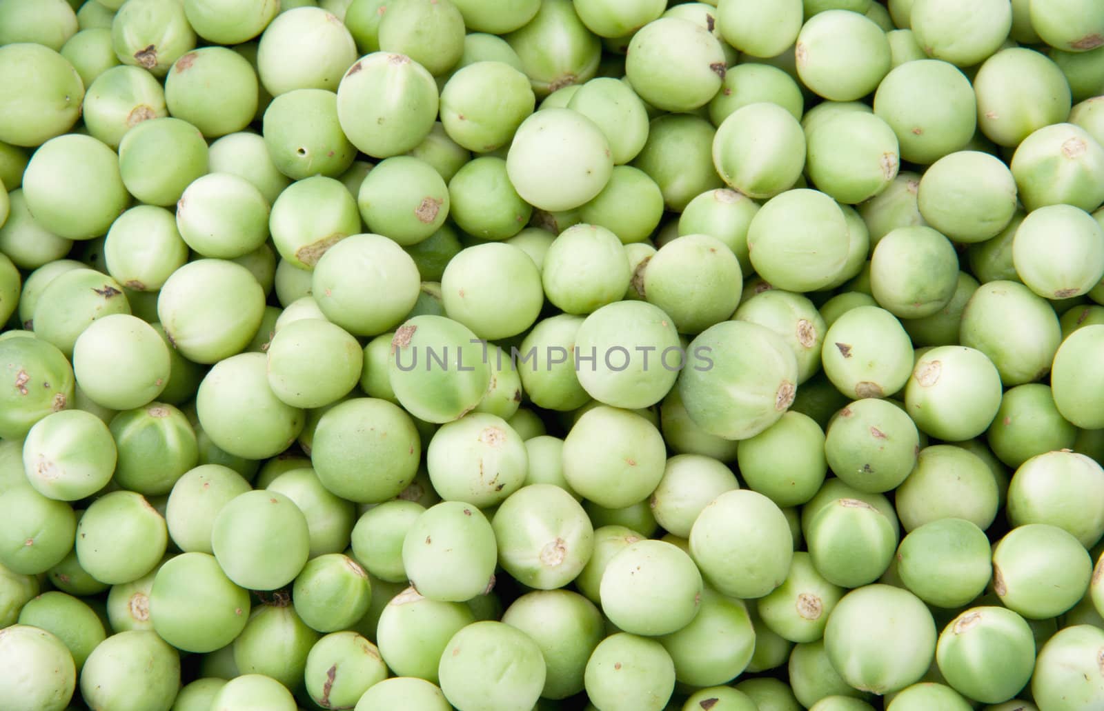 Green Pea eggplants background Texture