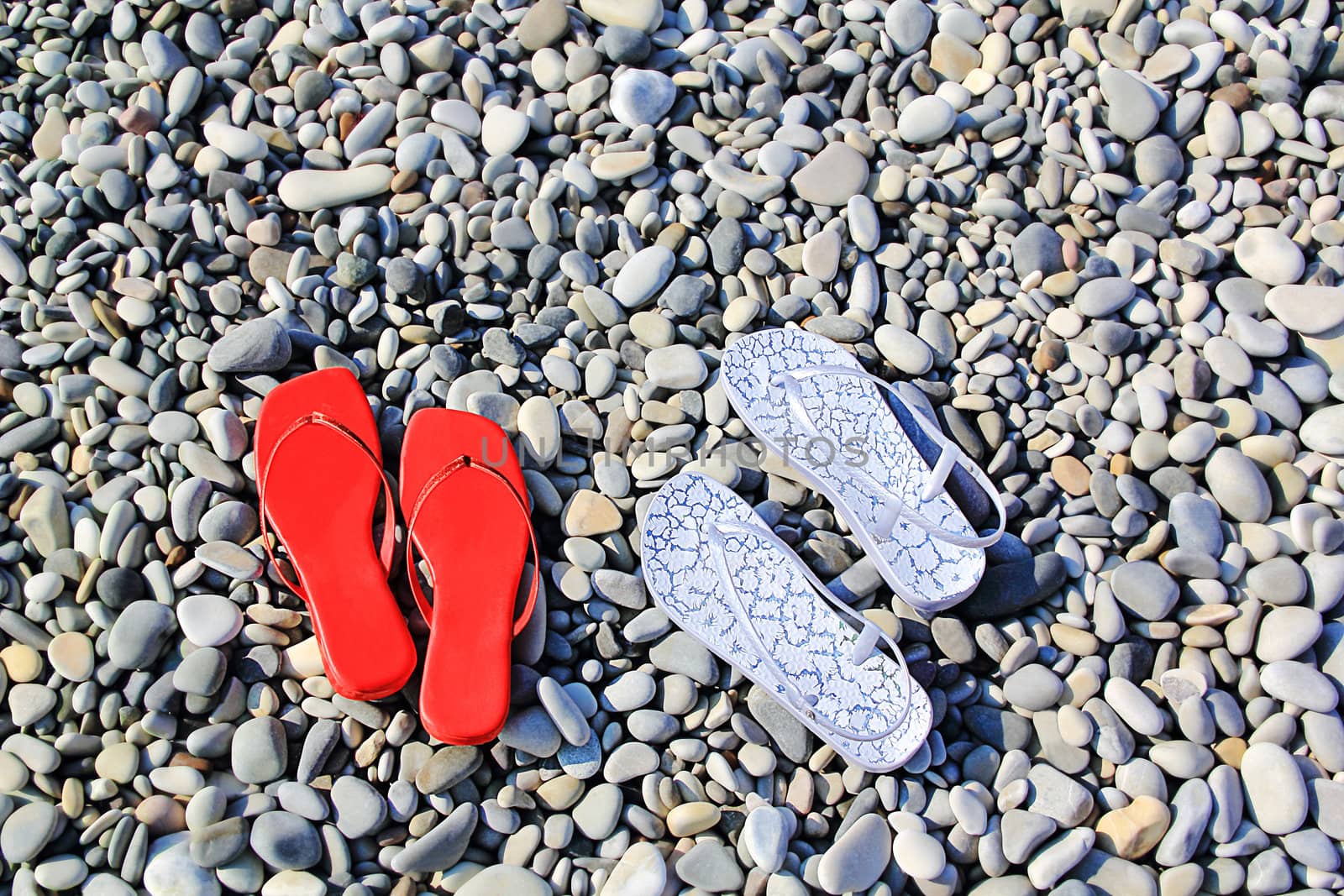 Image of varicoloured feminine schists on beach