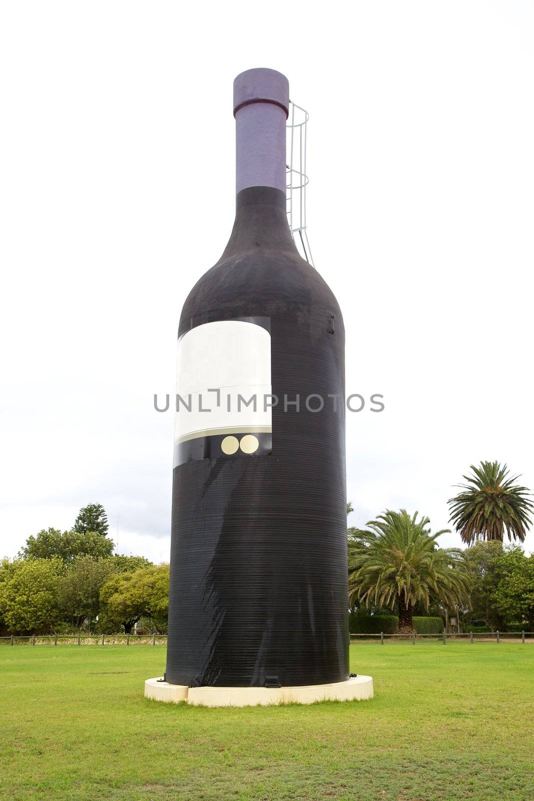 Wine Bottle by instinia