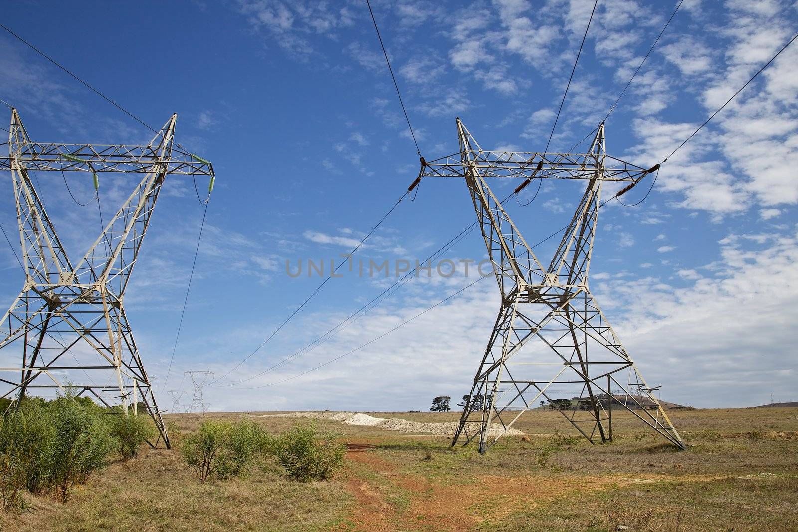 Electricity pylons 