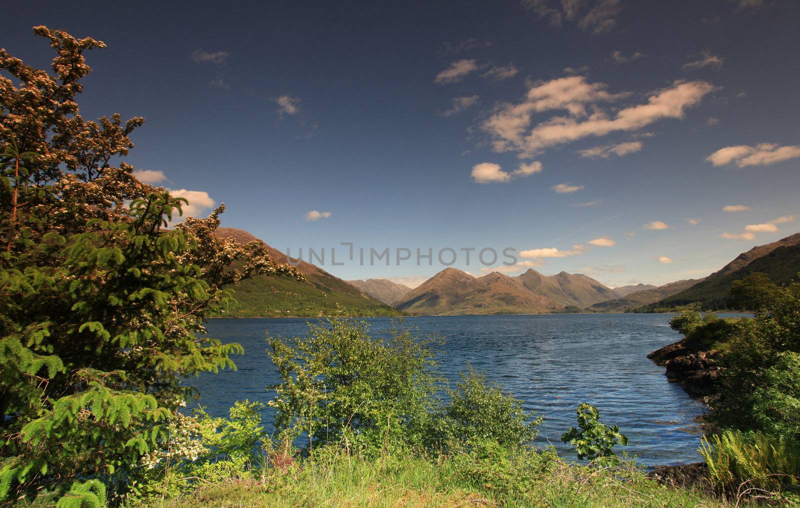 Loch Duich within th Scottish highlands in summer time