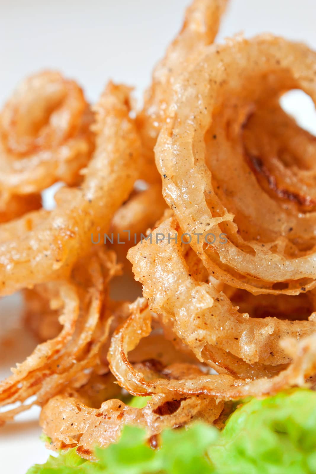 onion rings dish by nigerfoxy