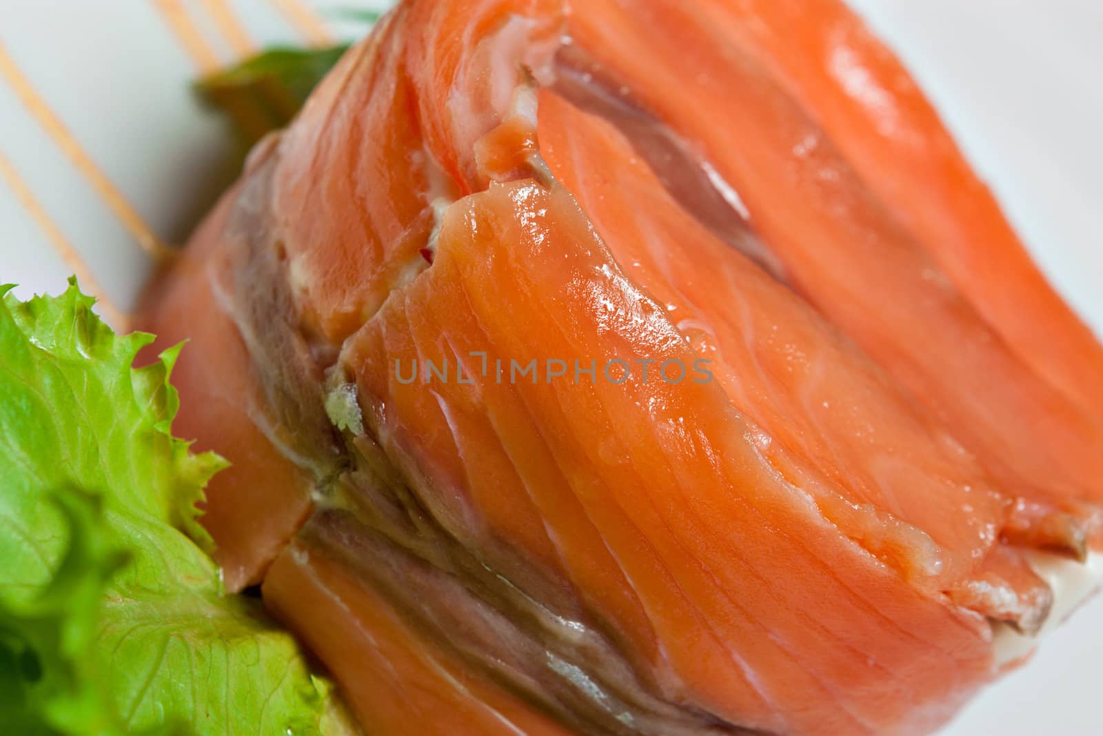 fillet of fish closeup by nigerfoxy