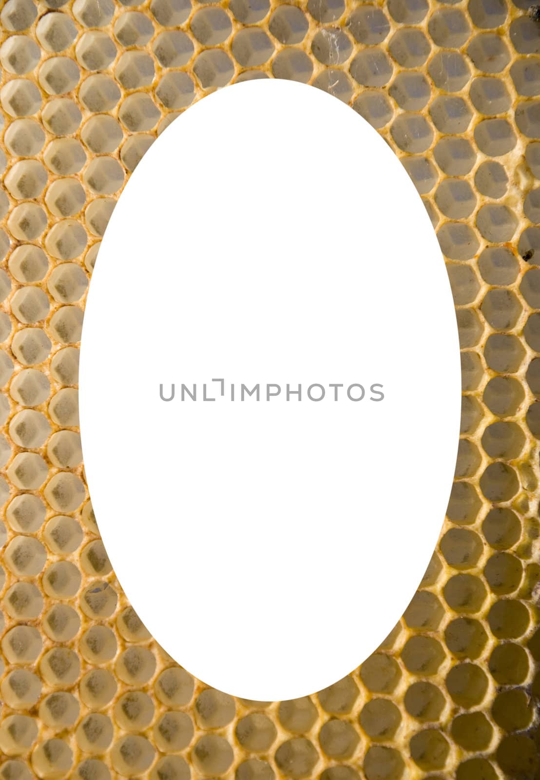 Isolated white oval place for text photograph image in center of honeycomb mesh background