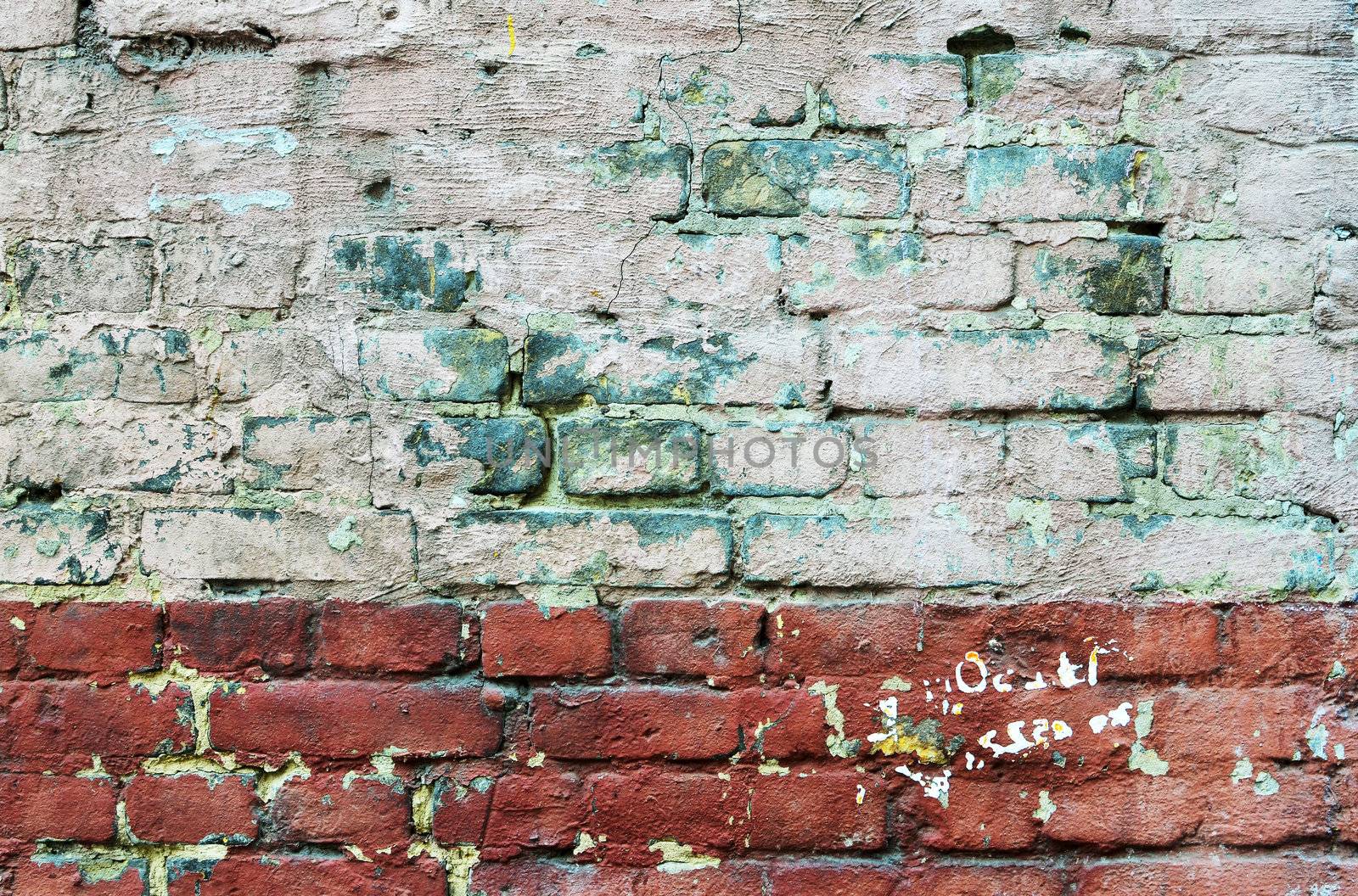 texture of old painted brick wall by DNKSTUDIO