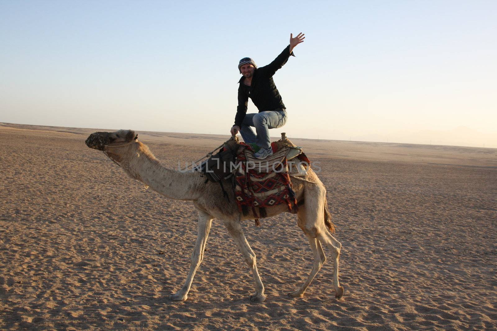 in the summer holiday on a camel ride