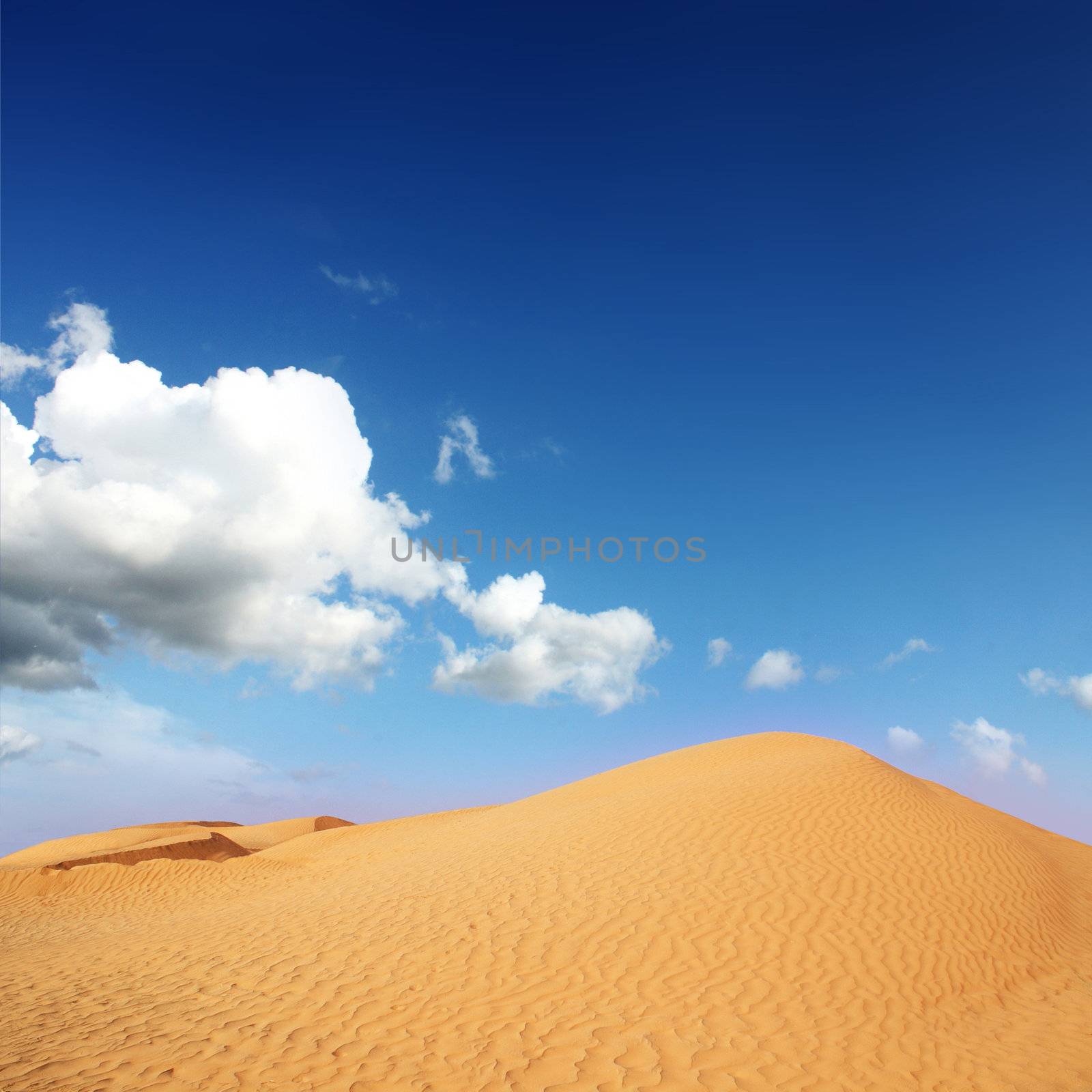 Sand dunes in Sahara  by photochecker