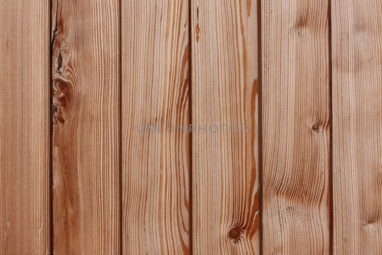 wood boards by photochecker