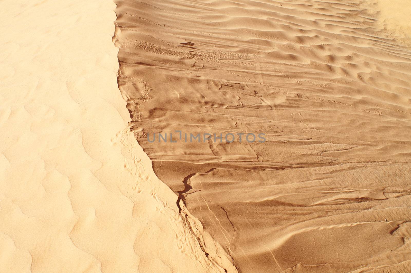 Desert by photochecker