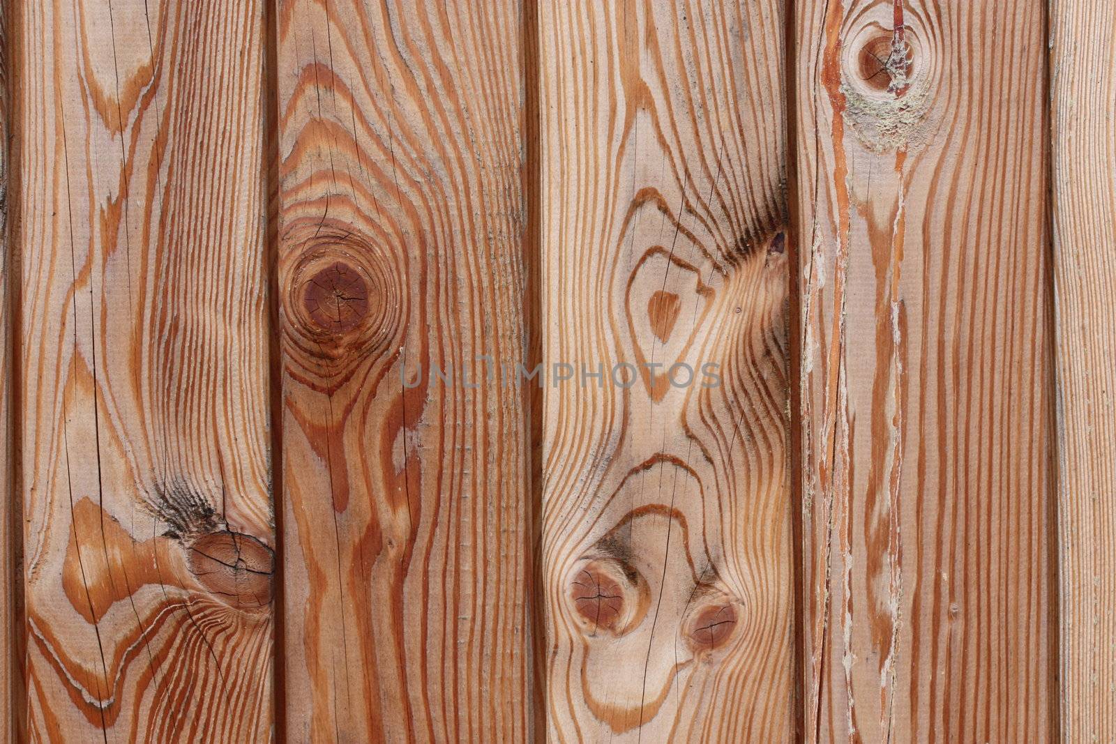 beautiful painted wooden boards in a row