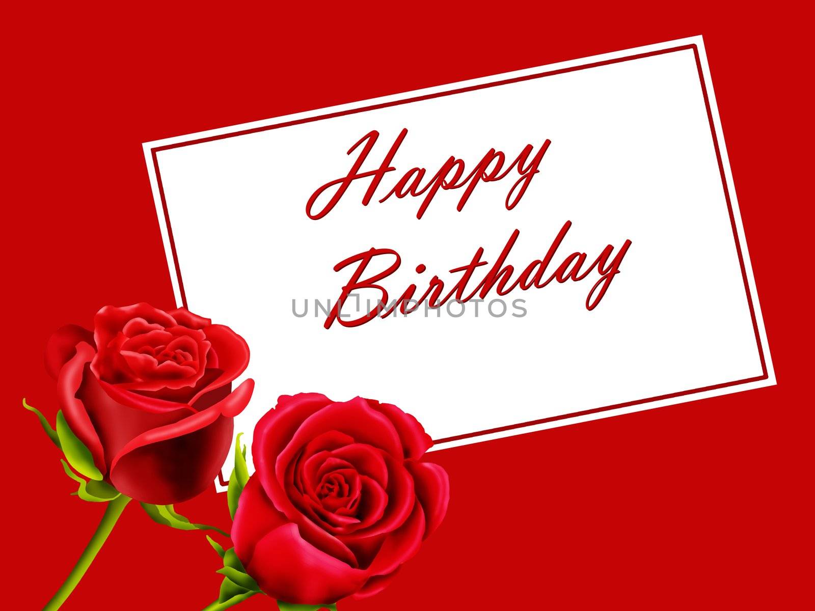 Happy Birthday card with red roses isolated on a red background