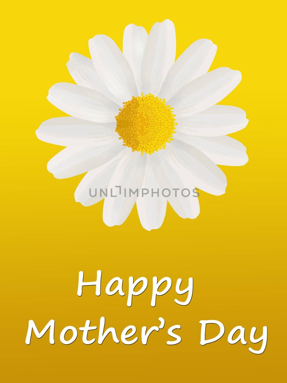 Mother’s Day card to mum with a single daisy isolated on a yellow background