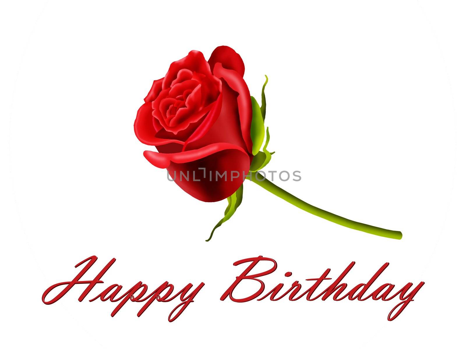 Happy Birthday card with a single red rose, isolated on a white background