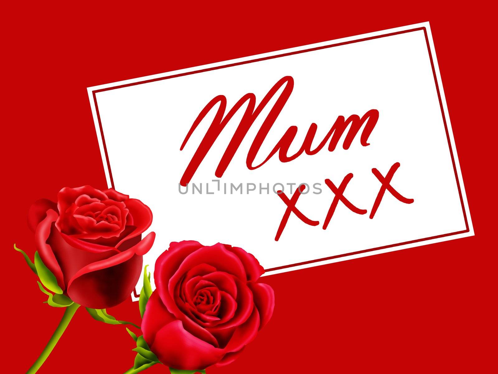 Mother's day or Birthday card with red roses and Mum xxx, isolated on a red background