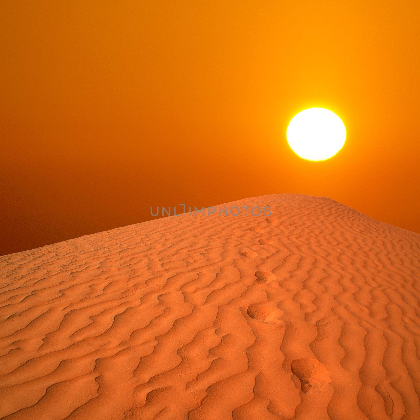 desert sunrise by photochecker