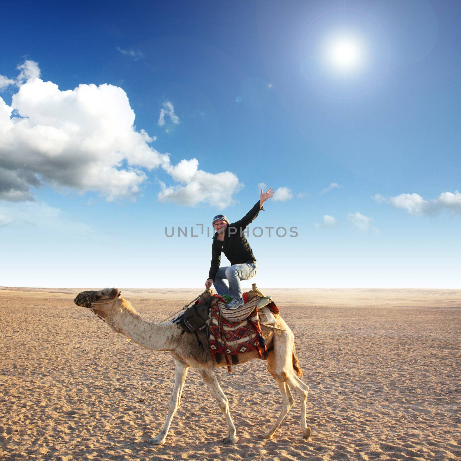 in the summer holiday on a camel ride