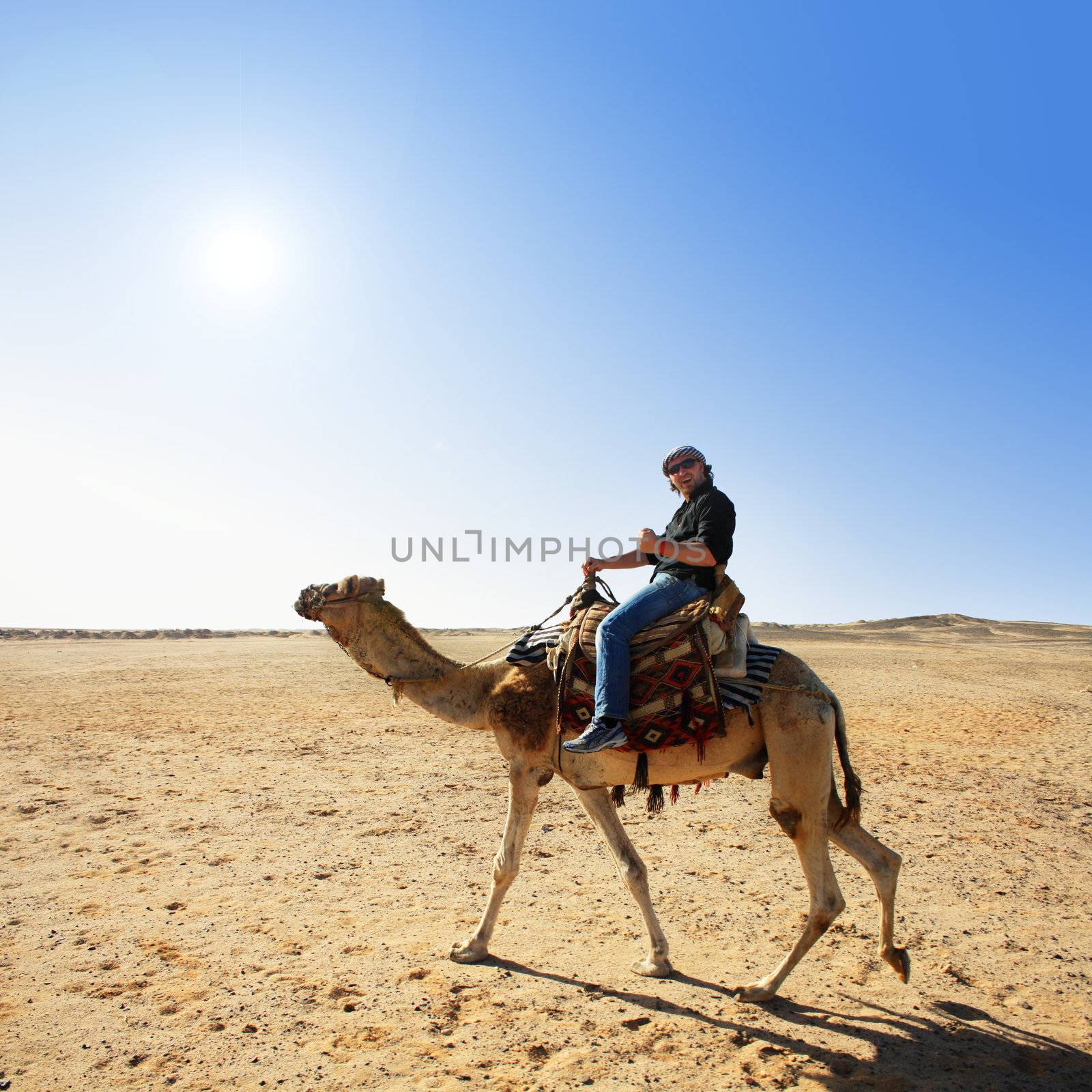 with the camel in the desert by photochecker