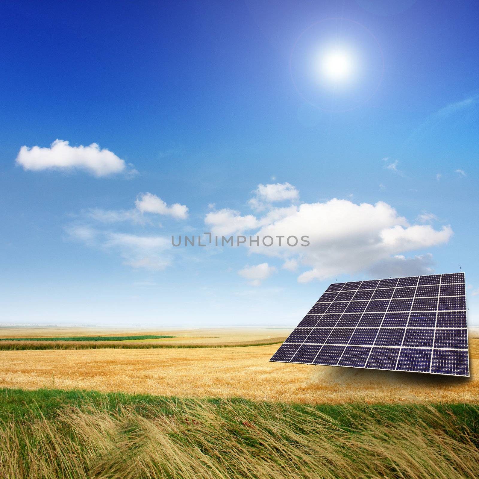 Solar panels generate electricity on a sunny day