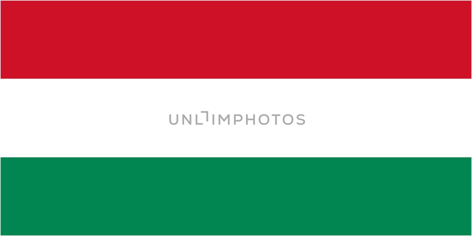 Hungary flag and language icon - isolated vector illustration