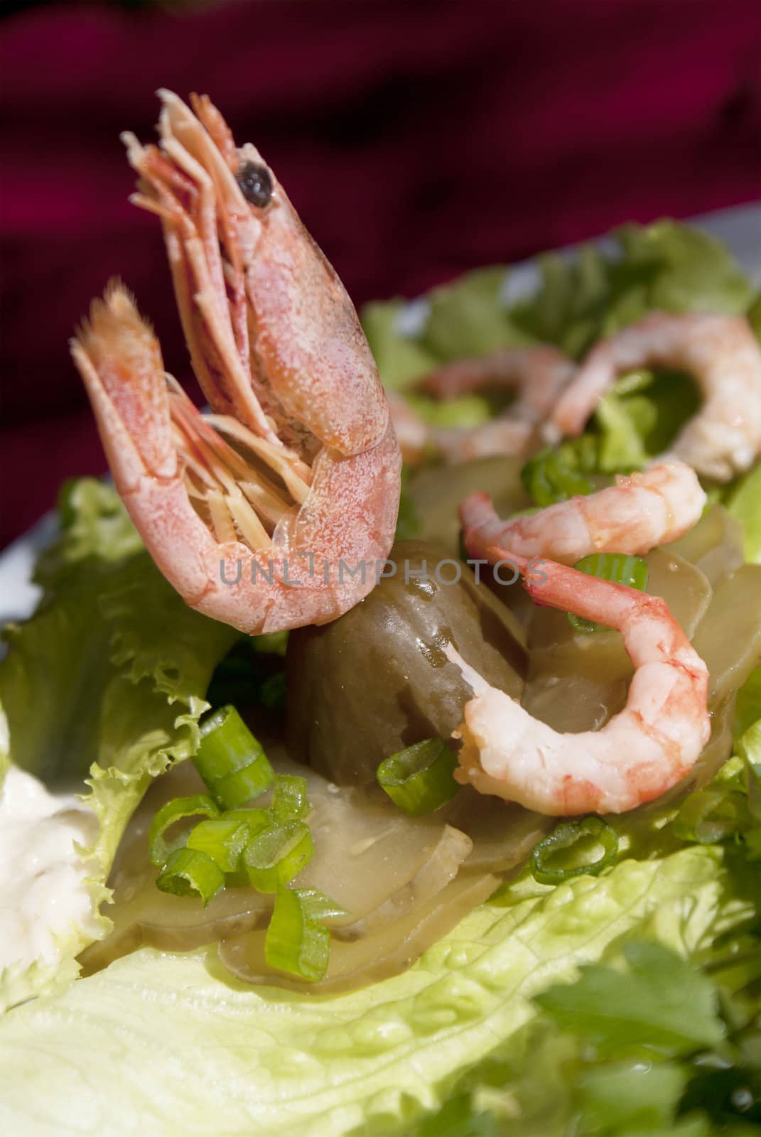 Easy snack from seafood and a marinaded cucumber with a sharp horse-radish