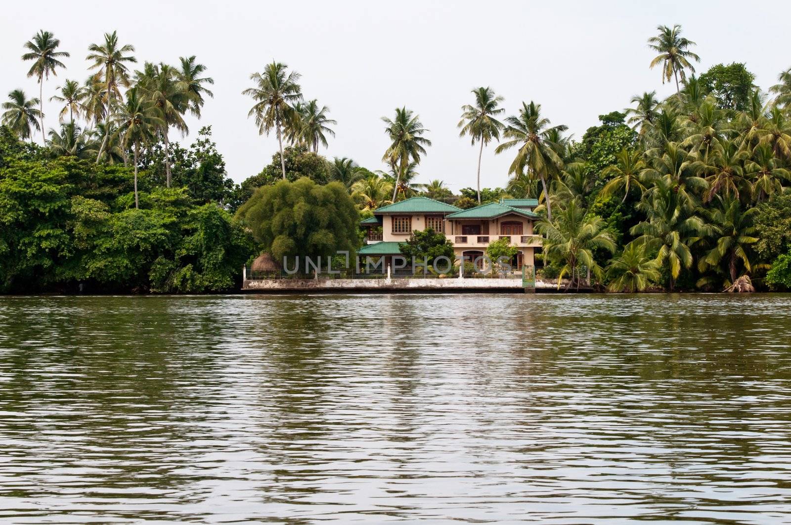 Contemporary building in jungle by iryna_rasko