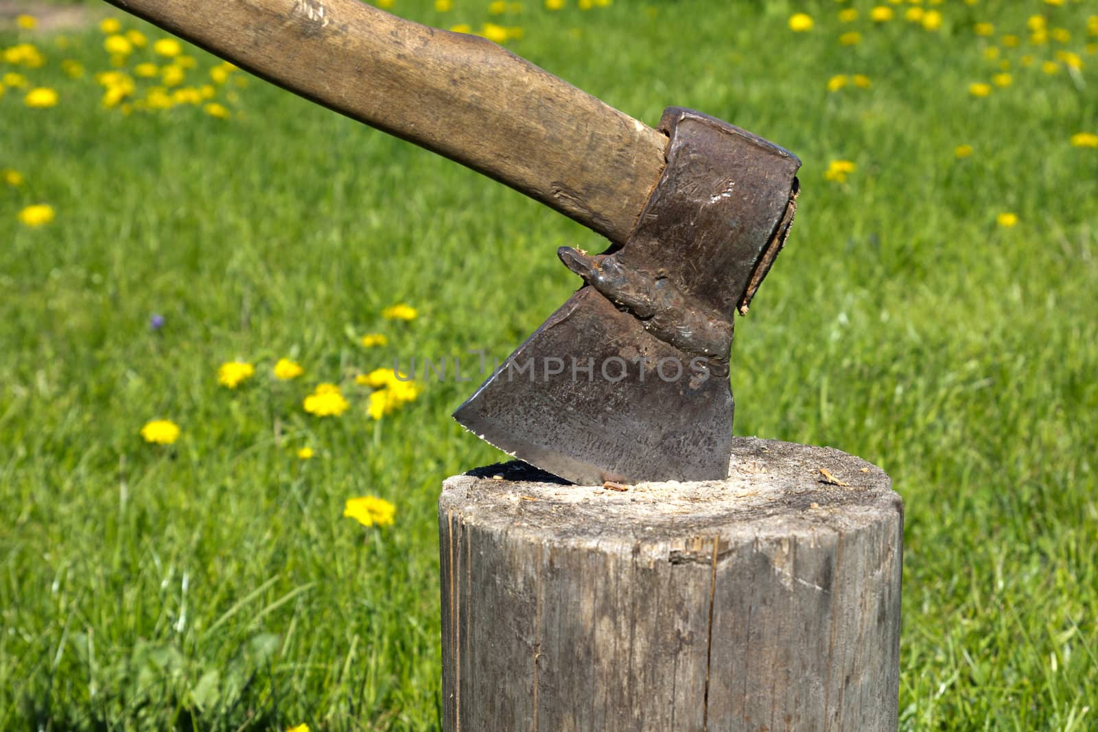 old rusty axe in a log