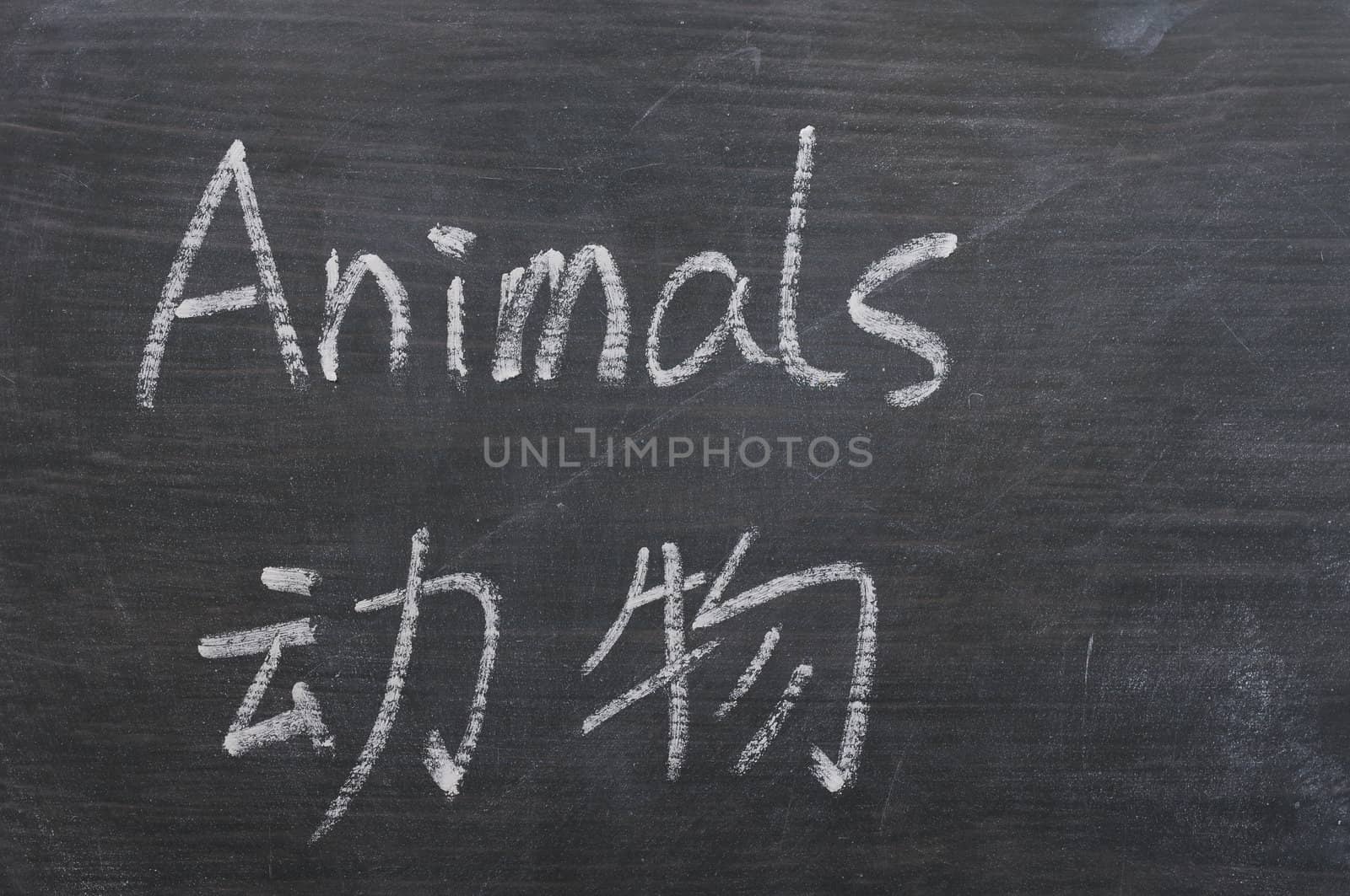 Animals - word written on a smudged blackboard with a Chinese translation