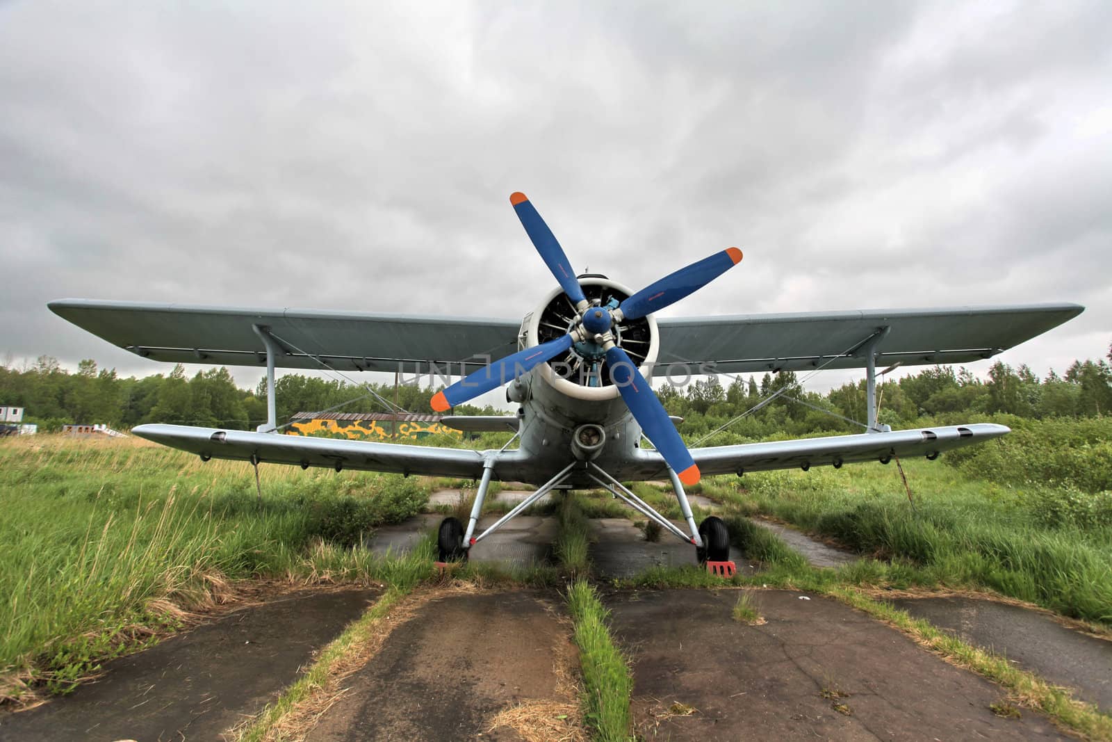 Biplane on the airfield, front view
