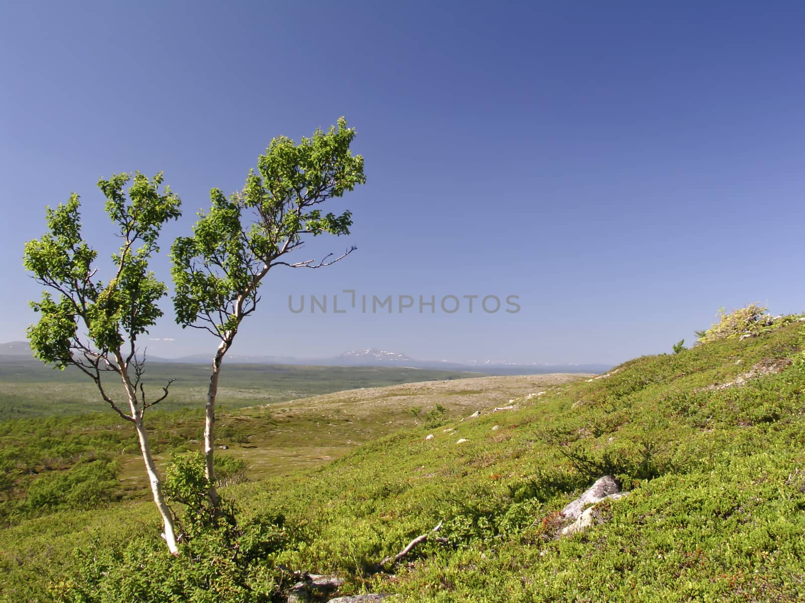 Beautiful mountain landscape with blue sky 
